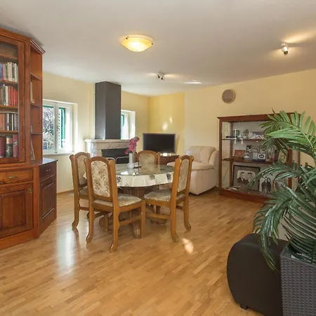Apartment Vila Kovacic *